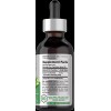 Horbäach Green Tea Liquid Extract | 2 fl oz |