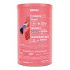 Birdman Protena Vegetal Fitmingo 510g Sabor Blueberry Blueberry