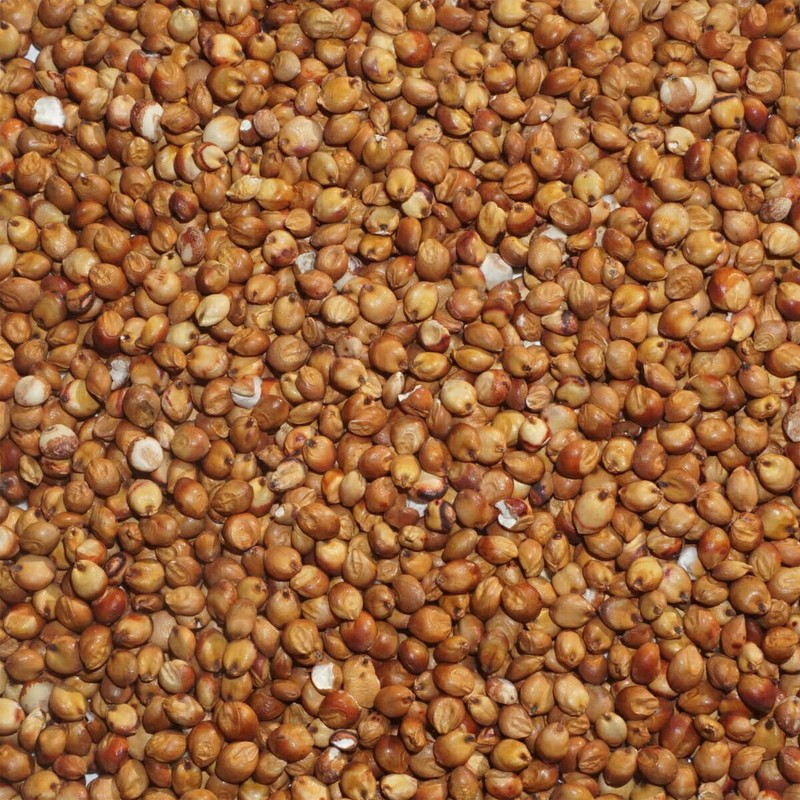 Ozoku Ozuya Takakibi Great Millett Millet Milgrain Millet Millet Milgrain