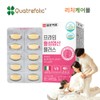 Pregnancy preparation, active folic acid before pregnancy, early pregnancy for