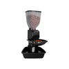 Feeding Friend Automatic Dog & Cat Food Feeder with Water