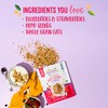 Oatsome Berry Coconut Granola, No Sugar Added, Gluten Free, 6g