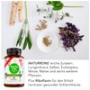 BonVigo® MenthaVigo Lungwort & Eucalyptus, 300 Capsules, 11 Plant Extracts,