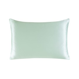 townssilk Both Side 100% 19mm Silk Pillowcase 50x70cm Pillow Case Cover with Hidden Zipper Lightgreen