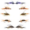 The Fly Fishing Place Basics Collection - Double Bead Head