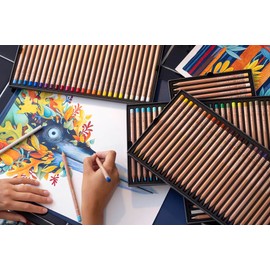 Caran d'Ache Luminance 6901 Pencils - French Grey 10% (6901.802)