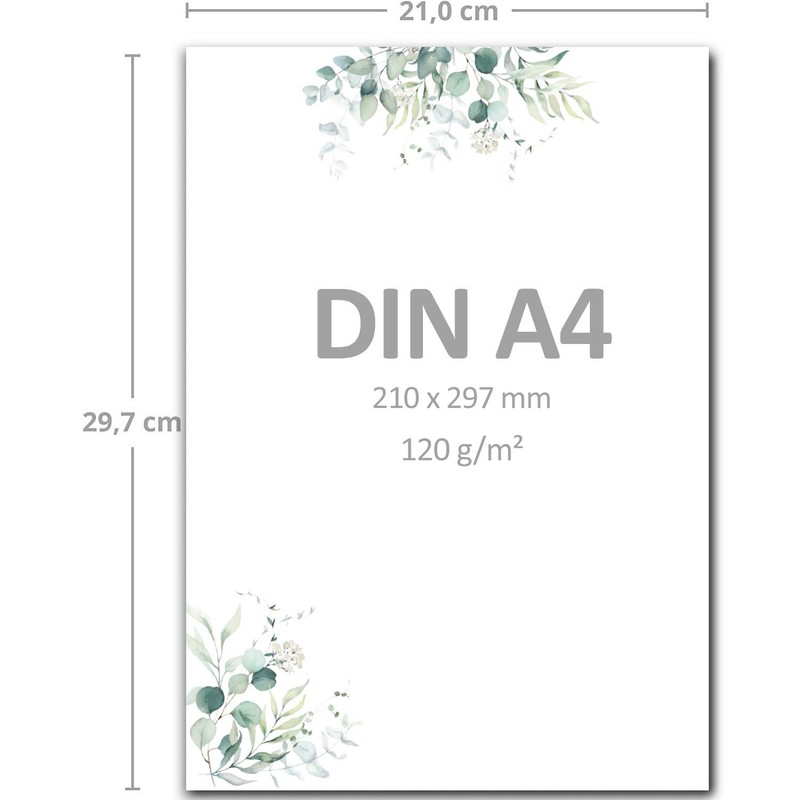 Motif Package Eucalyptus Letter Paper, Din A4, Incl. Envelopes DIN
