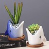 SJBAG Ceramic Animal Shark Shaped Flower Pot - Unique and