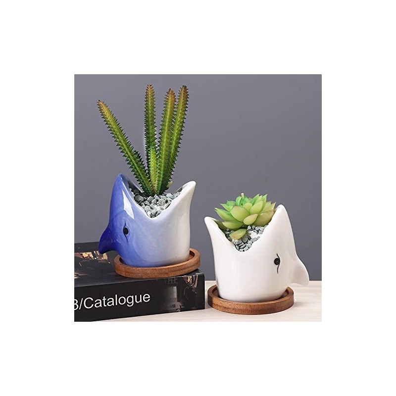 SJBAG Ceramic Animal Shark Shaped Flower Pot - Unique and