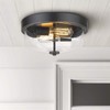 Emliviar 1 Pack Ceiling Light Fixture with Clear Glass Shade