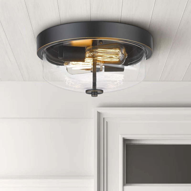 Emliviar 1 Pack Ceiling Light Fixture with Clear Glass Shade