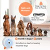 Antibell für Hunde,3 Frequenzstufen Antibell Ultraschall Gerät,33Ft Reichweite Antibell Ultraschall