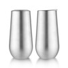 Sivaphe 2 Pack Insulated Stemless Champagne Flutes Dishwasher Support, 6