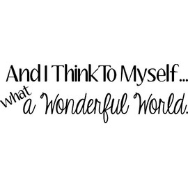 Creative Signs N Designs What a Wonderful World- Vinyl Wall Decal (22"x7", White)