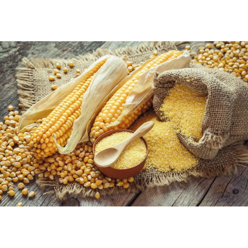 Organic Popcorn Kernels unpopped Non-GMO, Vegan Bulk Raw (2 lb)