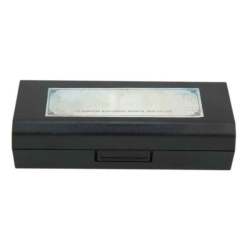 Blues Harmonica 10‑Hole Mouthorgan E Key Wind Instrument Waterproof Corrosion‑Resistant(Orange