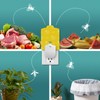 ZingZap Flying Insect Trap Indoor, Plug & Prey Dual-Baiting Fly