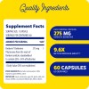 Fitosoma De Berberina 275 Mg 60 Caps Enzymedica Hecho Usa