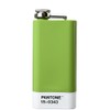 PANTONE Greenery 15-0343 Hip Flask Stainless Steel with Screw Cap
