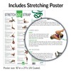 OPTP The Original Stretch Out Strap with Exercise Poster, USA