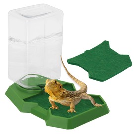 Reptile Water Dish Food Dish with Bottle, Prevent Drowning Water Dispenser, Water Feeder Automatic Water Feeding Accessories for Terrarium Tank, Turtle, Geckos, Lizards, Amphibians (Green)