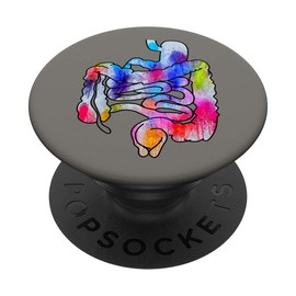 Human Digestive System Gastrointestinal Tract Watercolor Art