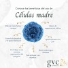 Kit Facial Regenerador Células Madre Gvc Cosmetics