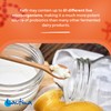 Kefir Starter Culture Kefir Ferment Kefir Culture Powder Healthy Stomach