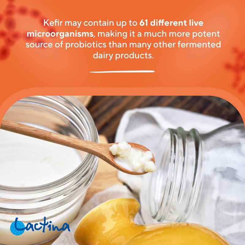 Kefir Starter Culture Kefir Ferment Kefir Culture Powder Healthy Stomach