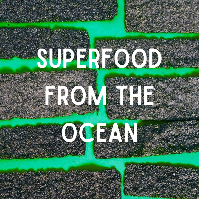 Tao Kae Noi 12 Count Seaweed Snacks Healthy Nori Sheets