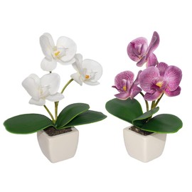 BINFEN Mini Artificial Silk Orchid Potted Flowers - 2pcs Real Touch Fake Small Plants in Ceramic Vase for Home Office Bathroom Living Room,Tiny Faux Table Shelf Decor, White & Purple