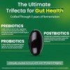 Dr. Ohhira's Probiotics Original Formula 100 Count 3 Year Fermented