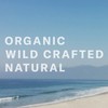 Chocolate Sun - Organic Glow Medium Tanning Cream Face &