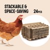 Hatortempt Bulk Egg Cartons - 24-Pack, Reusable 12-Count Basket -