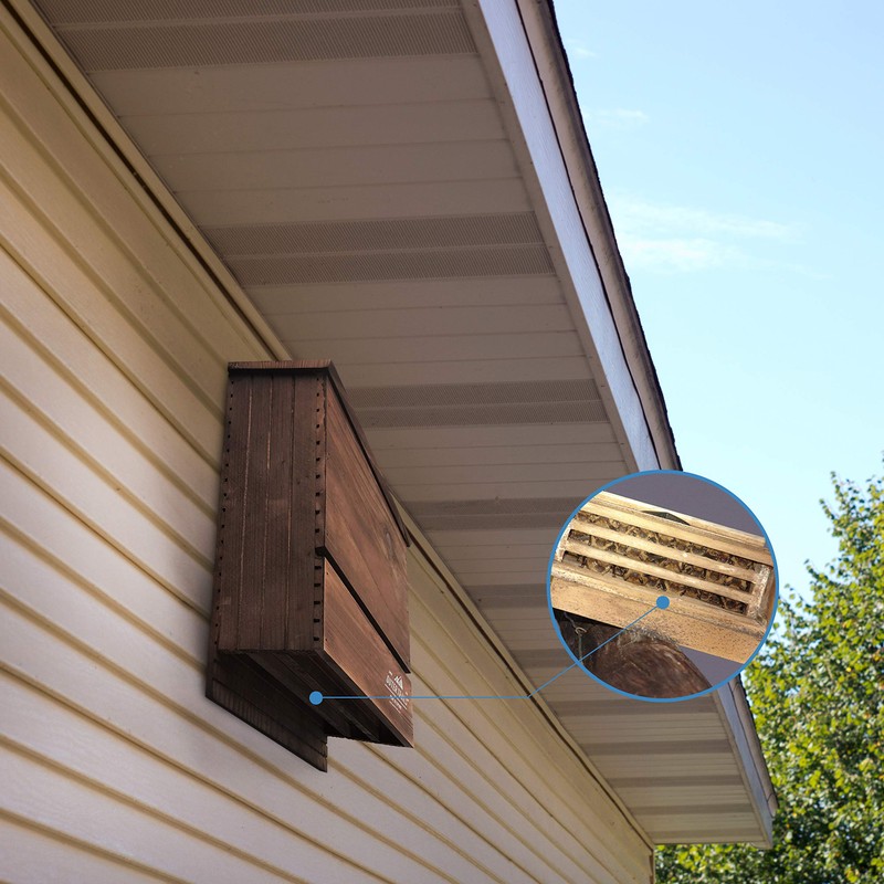 Outer Trails Japanese Cedar Bat House Habitat: Three Chambers, Weatherproof,