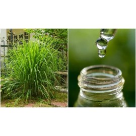 Abreiko Aceite Esencial De Citronela 10 Mililitros