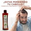 Árbol Verde Tratamiento Shampoo Anticaída Árbol Verde 4pzs Romero Sábila