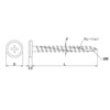 DAIDOHANT 10176829 Woodworking Screw Good (White Head) (Nominal Diameter d)