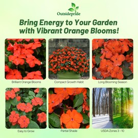 Outsidepride Beacon Orange Impatiens Flower Seeds - 25 Pcs Annual, Compact & Pollinator Friendly, Impatiens Seeds for Planting w/Vibrant, Abundant Blooms for Shade Gardens & Container Displays