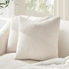 Topfinel Set of 2 Cushion Covers, 55 x 55 cm,
