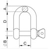 MarineNow 316 Stainless Steel D-Shackle Marine Grade Choose Size and