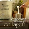 Great Lakes Wellness Hidrolizado Colágeno Proteína Carne Res Sabor Chai
