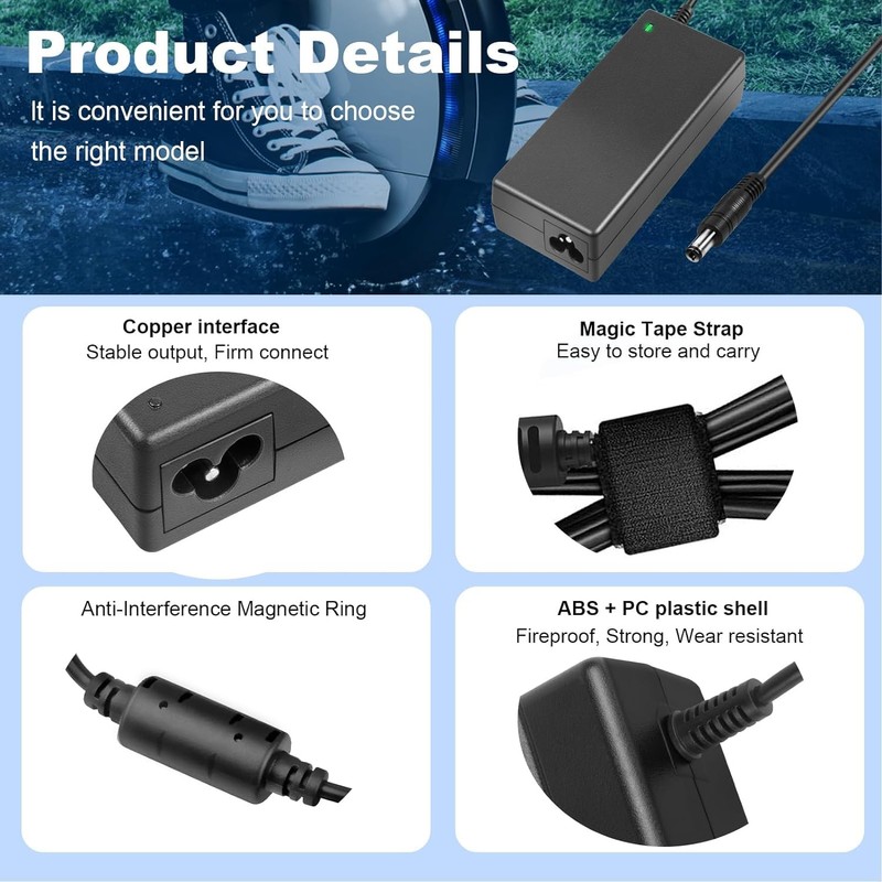 SGS Certified 42V 2A Scooter Charger with 5 Plugs Connections,