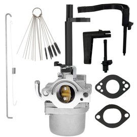Dosens 591378 698305 793778 Carburetor Replacement Compatible with Briggs & Stratton 796321 696132 696133 796322 697351 699958 697978 Nikki