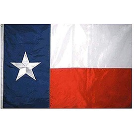 8x12 FT Nylon Texas Embroidered Flag - TX