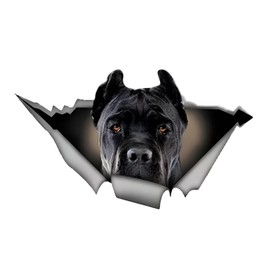 Autoaufkleber Cane Corso Aufkleber 15cm(5.9 Inch) Cane Corso Car Sticker 3D Zerrissen Reflektierende Autoaufkleber Wasserdichte Haustier Hund Aufkleber Laptop Stoßstange Heckscheibe Dekor
