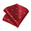 DiBanGu Christmas Ties for Men Xmas Holiday Necktie and Pocket