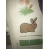 Priss Prints Teletubbies Priss Prints Rare Jumbo Stick Ups Wall
