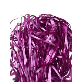 Partynow! Pack of 2 Tinsel Curtains - Fringe Curtain Background as Decoration for Birthday Party 2 x 1 m Foil Fringe in Gold Silver Red Purple Rose Gold Green (Purple)