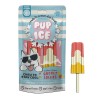 KW01 [E07247] ETHICAL/SPOT Pup Ice Rocket Lollies Strawberry and Banana,1 Pack